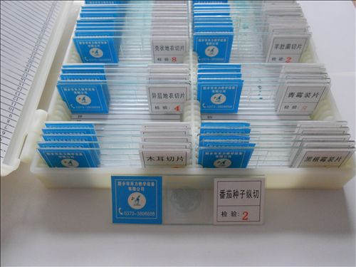 微生物标本