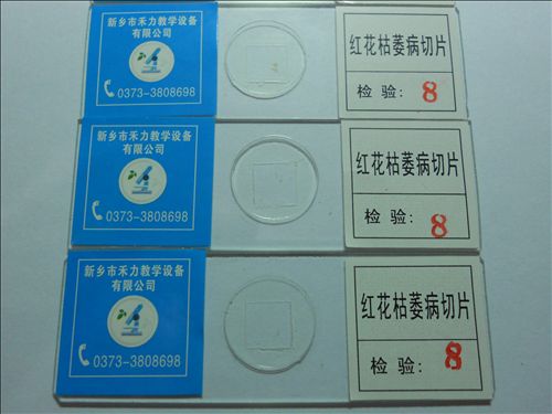 组织胚胎学切片